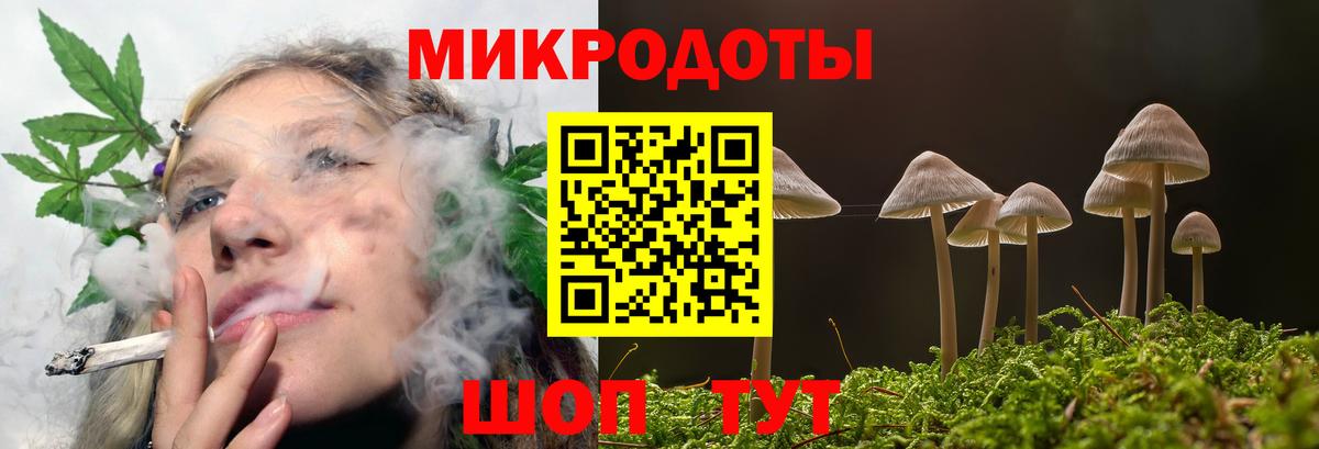 Сыктывкар  Псилоцибиновые грибы MAGIC MUSHROOMS  Вход с VPN  Галлюциногенные грибы мухоморы 